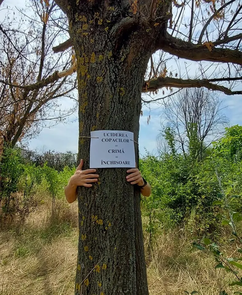 Comunitatea IOR la o acțiune civică